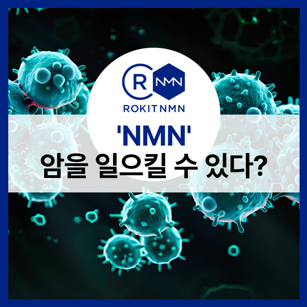 'NMN' 안심하고 먹어도 되나?
