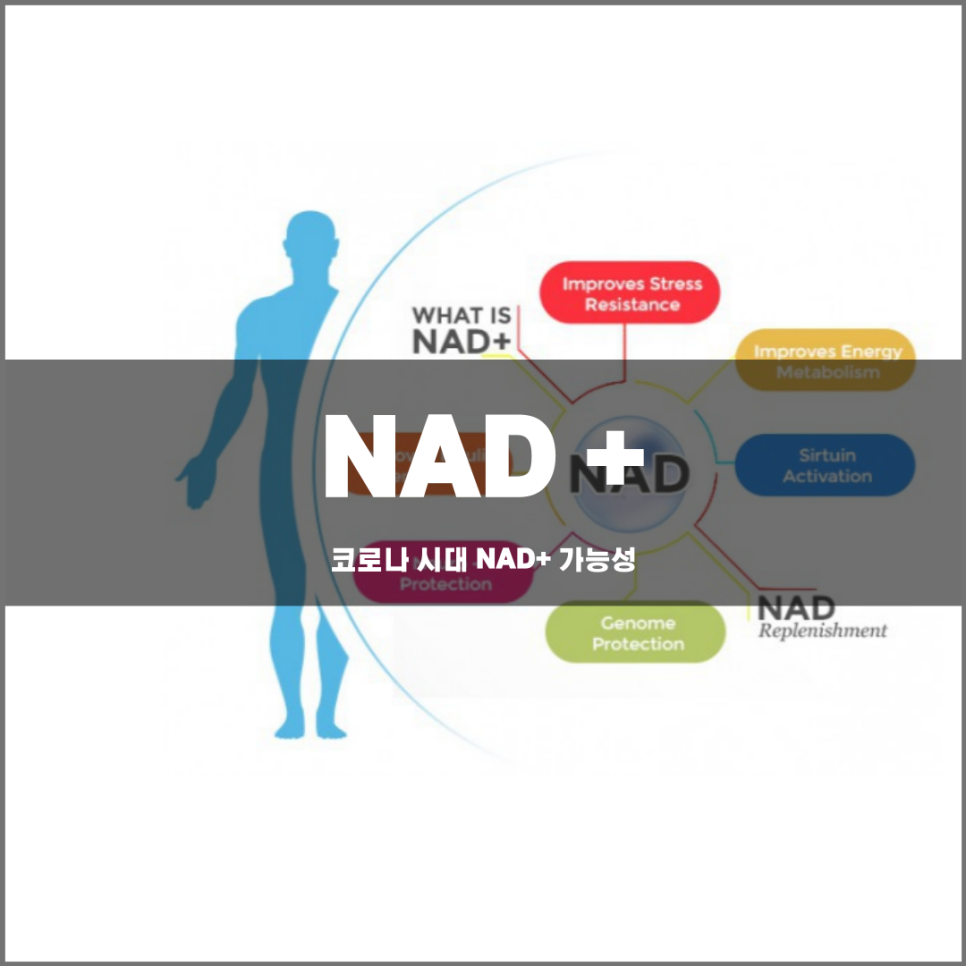 The Potential of NAD+ in the COVID Era