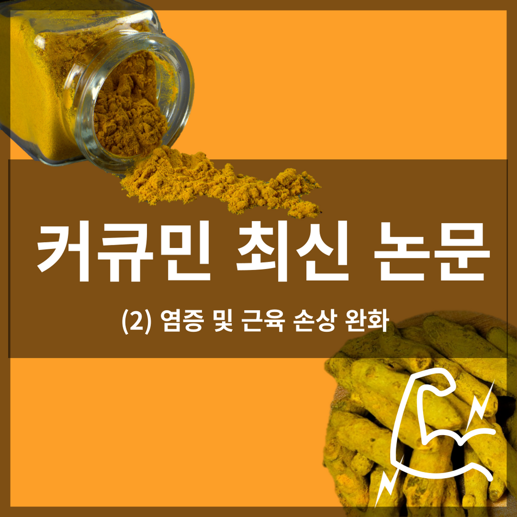 Curcumin's Latest Paper 2: Reducing Inflammation and Muscle Damage