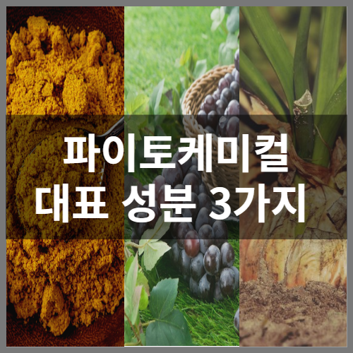 Phytochemicals, three main ingredients: curcumin, resveratrol, and quercetin