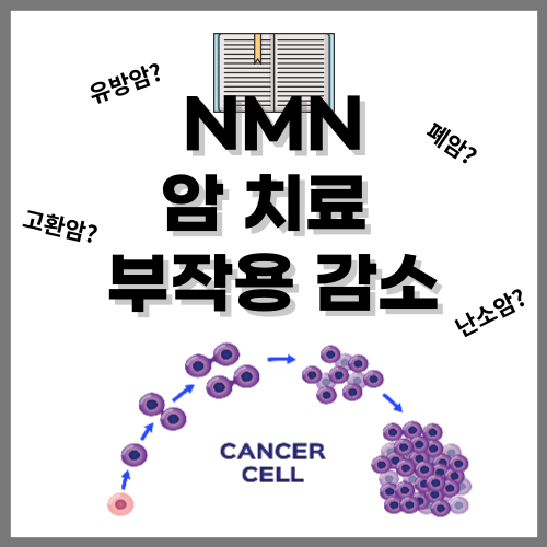 NMN for Cancer? NMN Reduces Cancer Treatment Side Effects