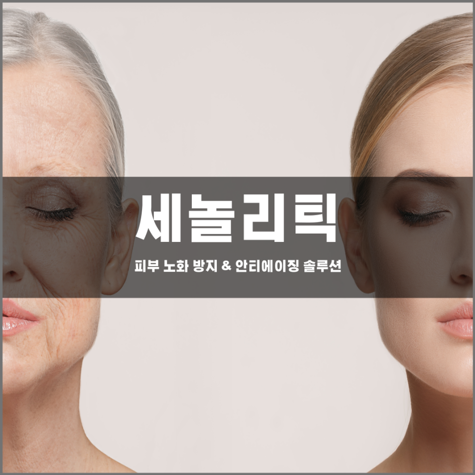 [Destruction of Aging Cells] Senolytics: A New Anti-Aging Solution 