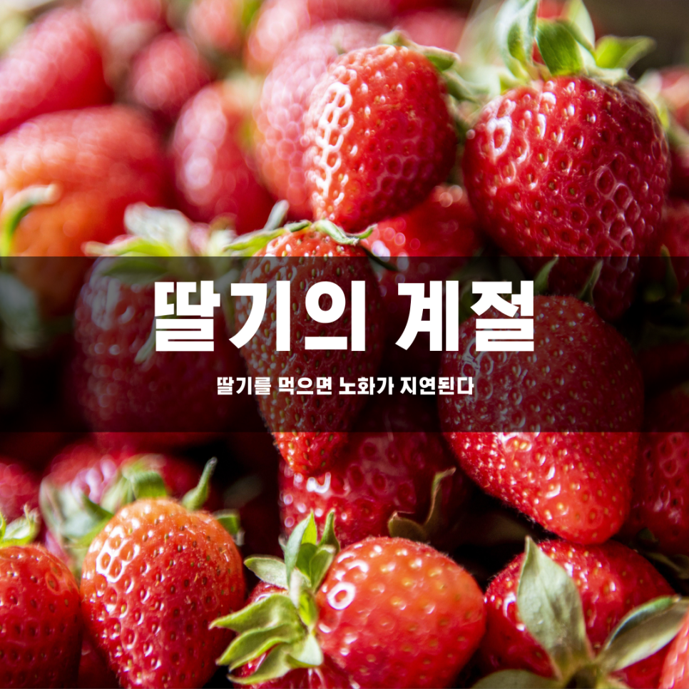 It's strawberry season, and eating strawberries can slow down aging! 