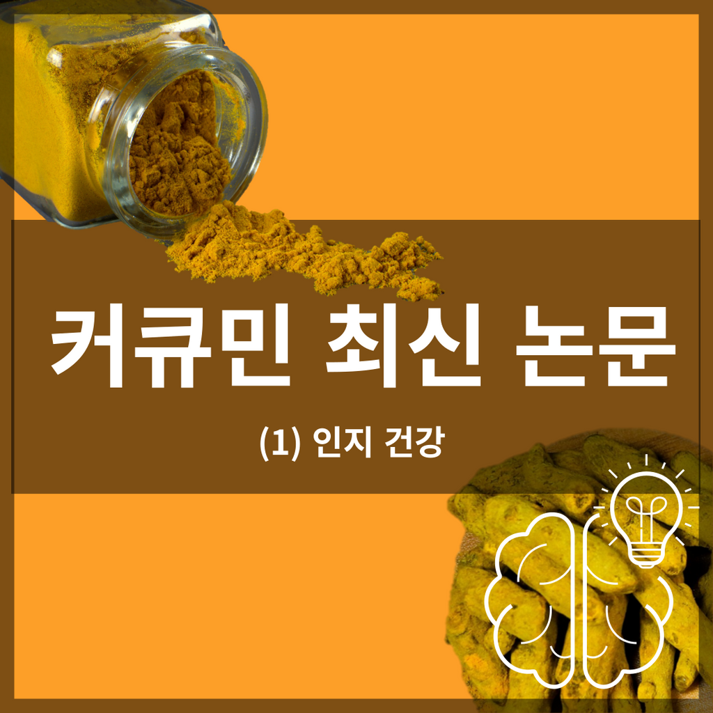 Curcumin Latest Paper 1: Cognitive Ability