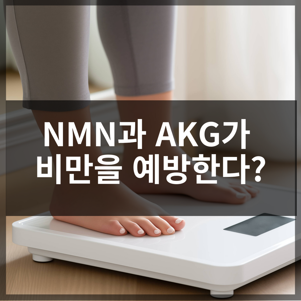 NMN과 AKG가 비만을 예방한다