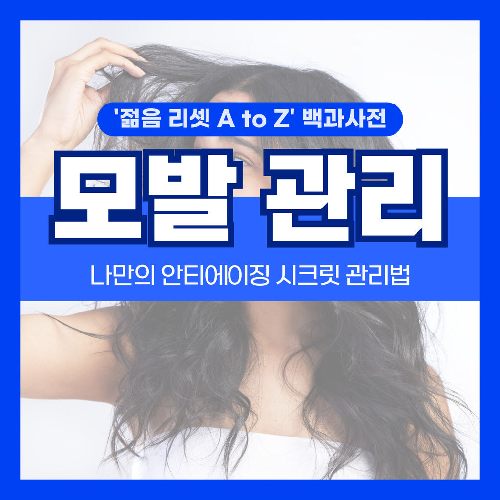 챌린저와 함께 만드는 Reset Youth A to Z_Ep1-2. 탈모, 흰머리 관리 편