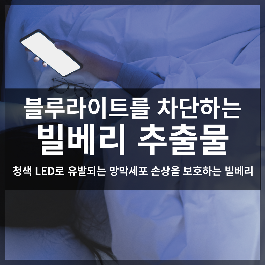 [Health Information] Blue Light: A Modern Eye Health Concern 