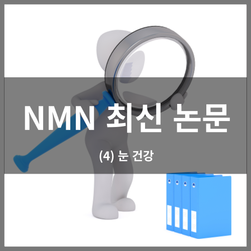 NMN Latest Paper (4) Eye Health
